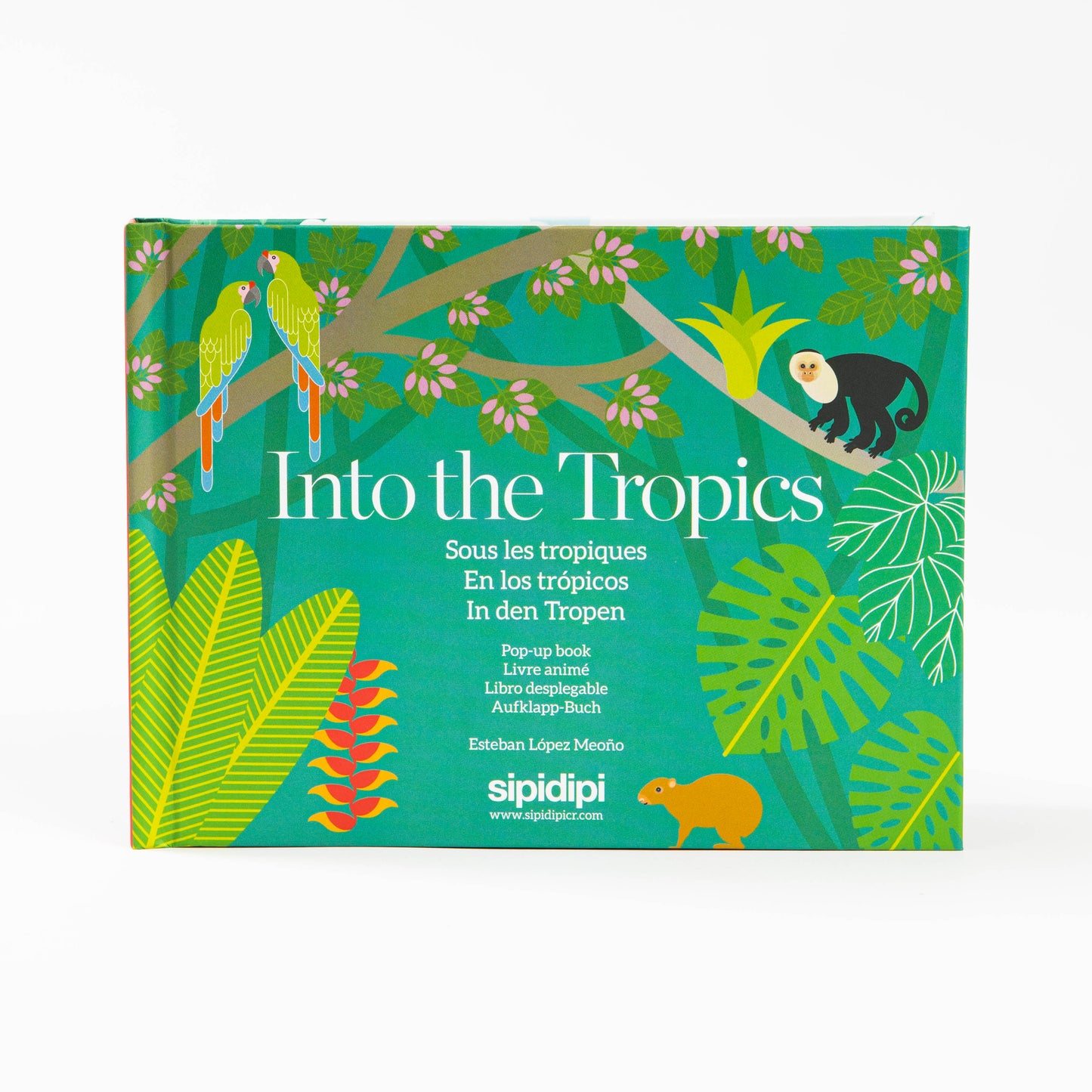 Into the Tropics